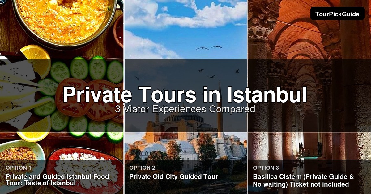 Istanbul private tours – three Viator experiences compared