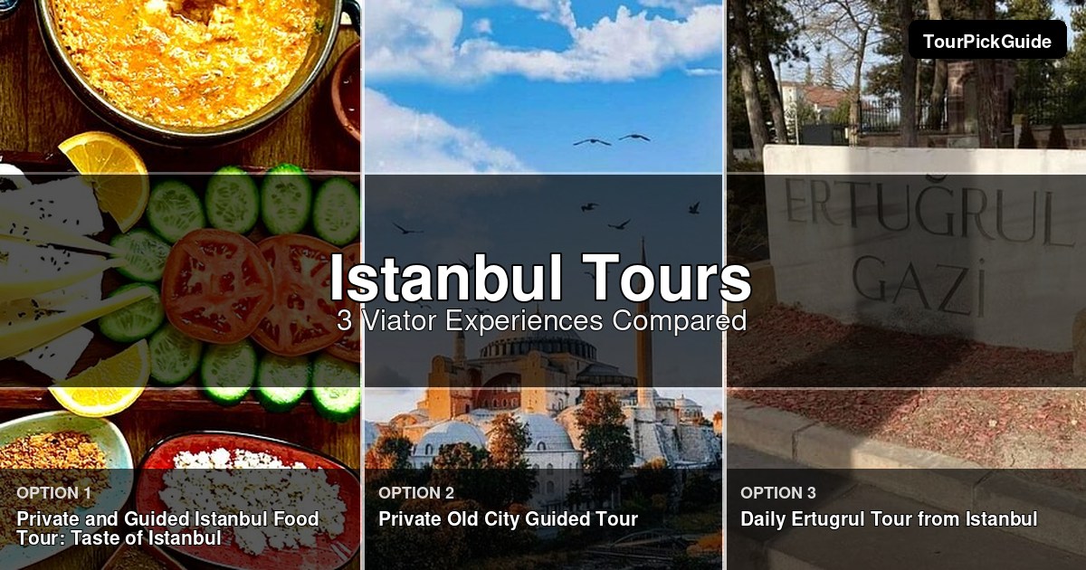 Istanbul tours – three Viator experiences compared