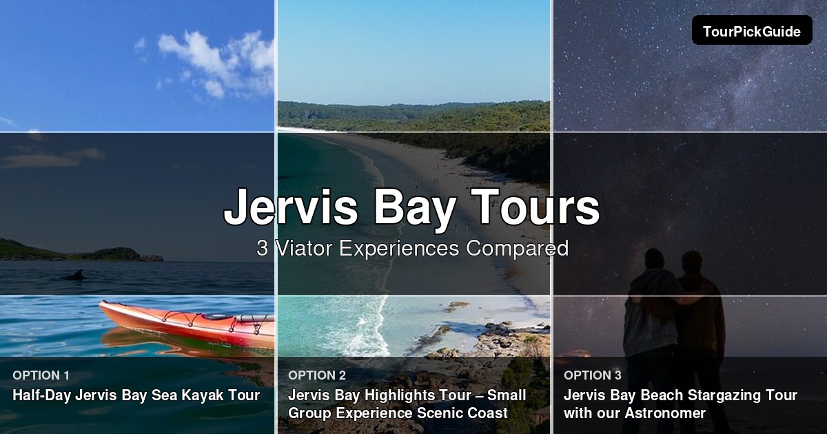 Jervis Bay tours – three Viator experiences compared