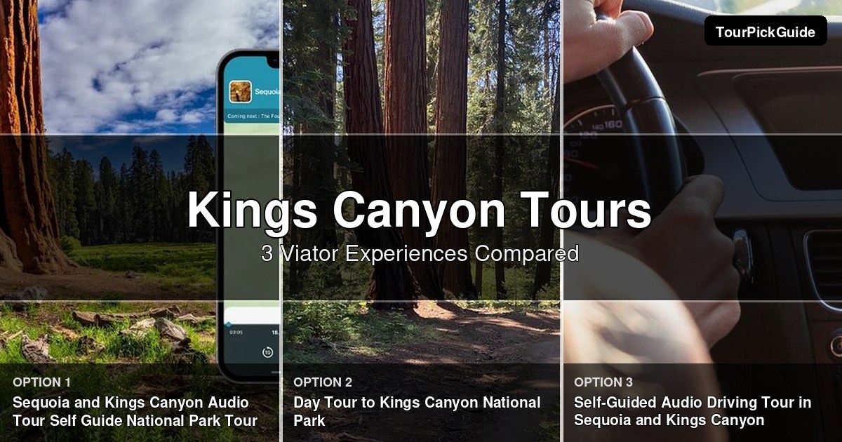 Kings Canyon tours – three Viator experiences compared