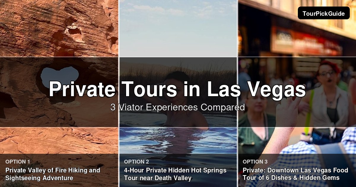Las Vegas private tours – three Viator experiences compared