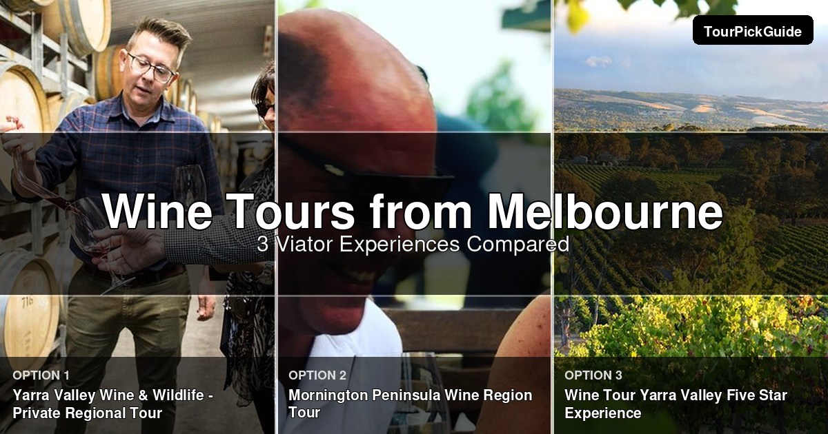 Melbourne wine tours – three Viator experiences compared