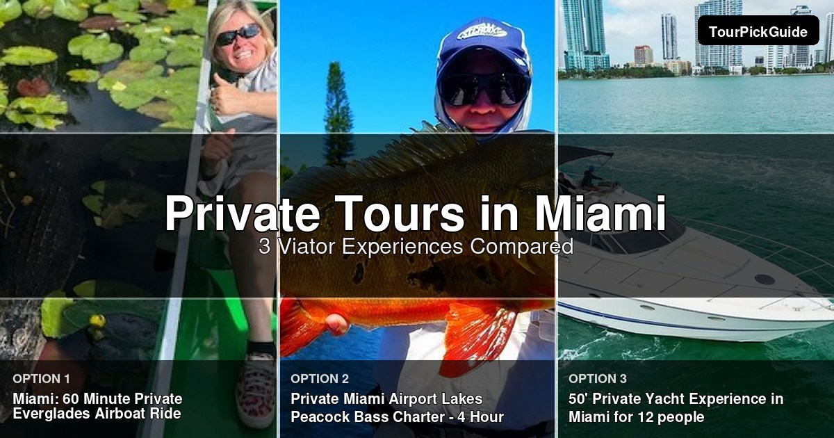 Miami private tours – three Viator experiences compared