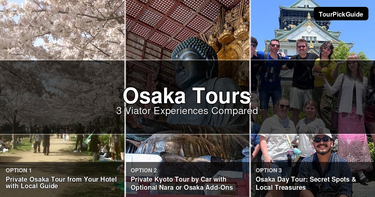 Osaka tours – three Viator experiences compared