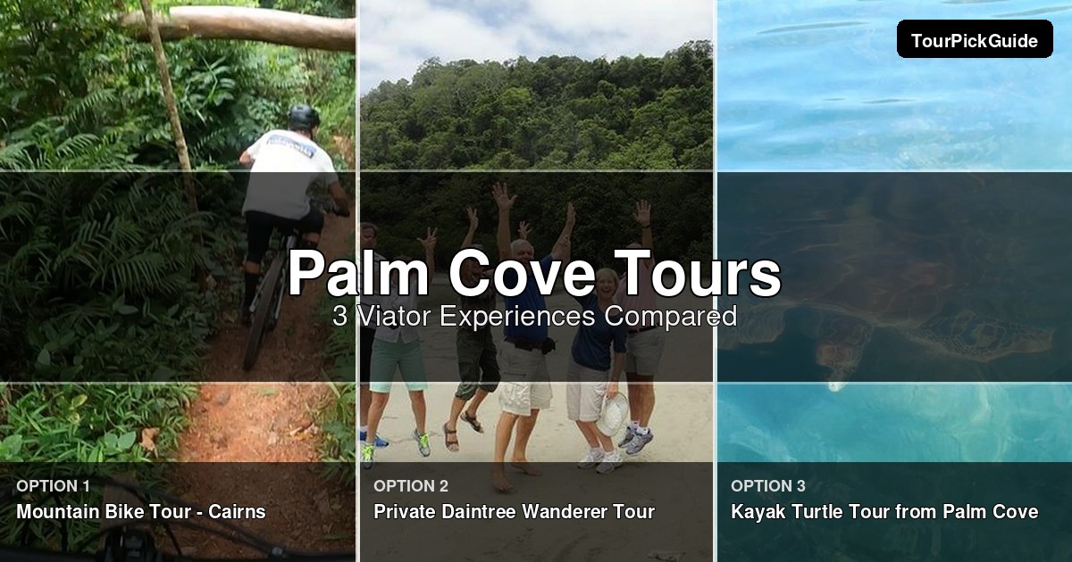Palm Cove tours – three Viator experiences compared