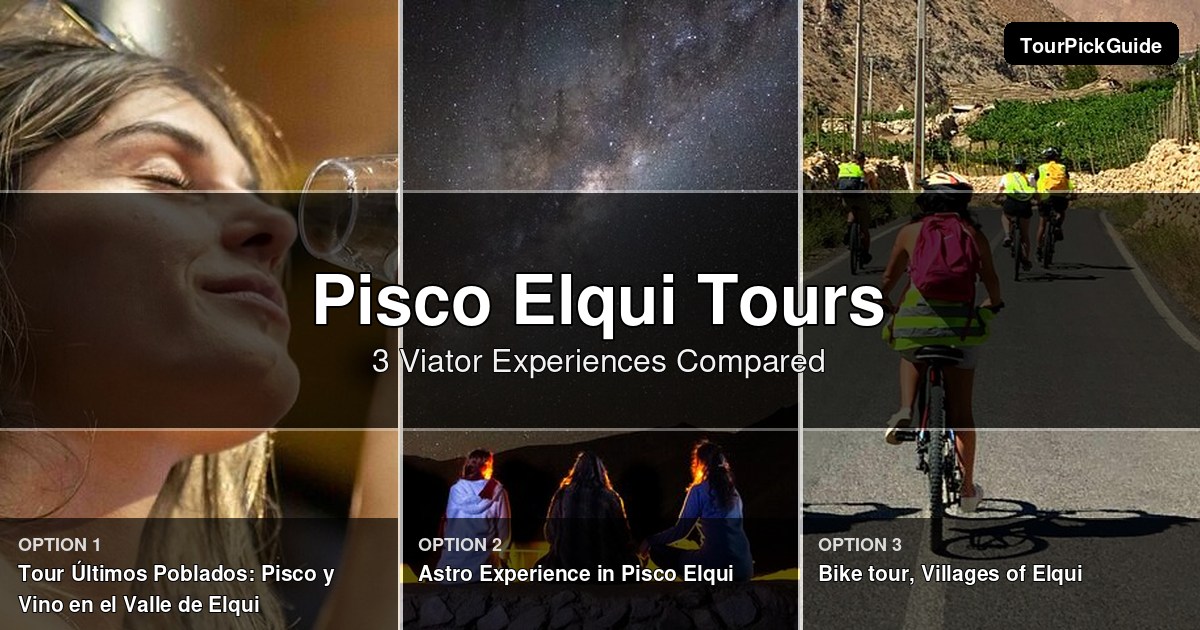 Pisco Elqui tours – three Viator experiences compared