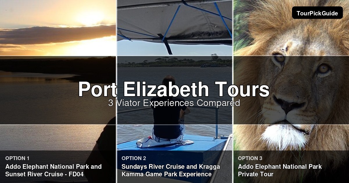 Port Elizabeth tours – three Viator experiences compared