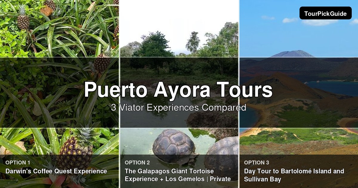 Puerto Ayora tours – three Viator experiences compared