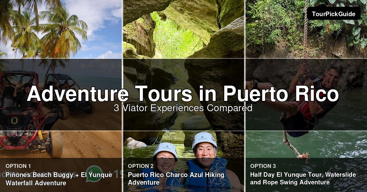 Puerto Rico adventure tours – three Viator experiences compared