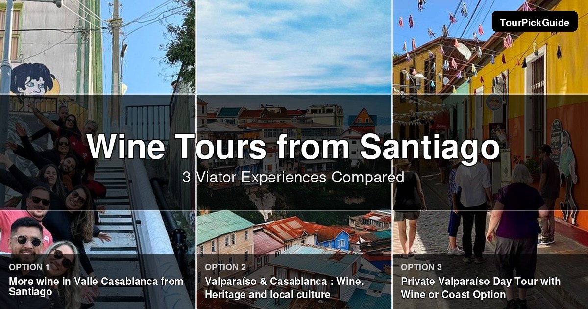 Santiago wine tours – three Viator experiences compared
