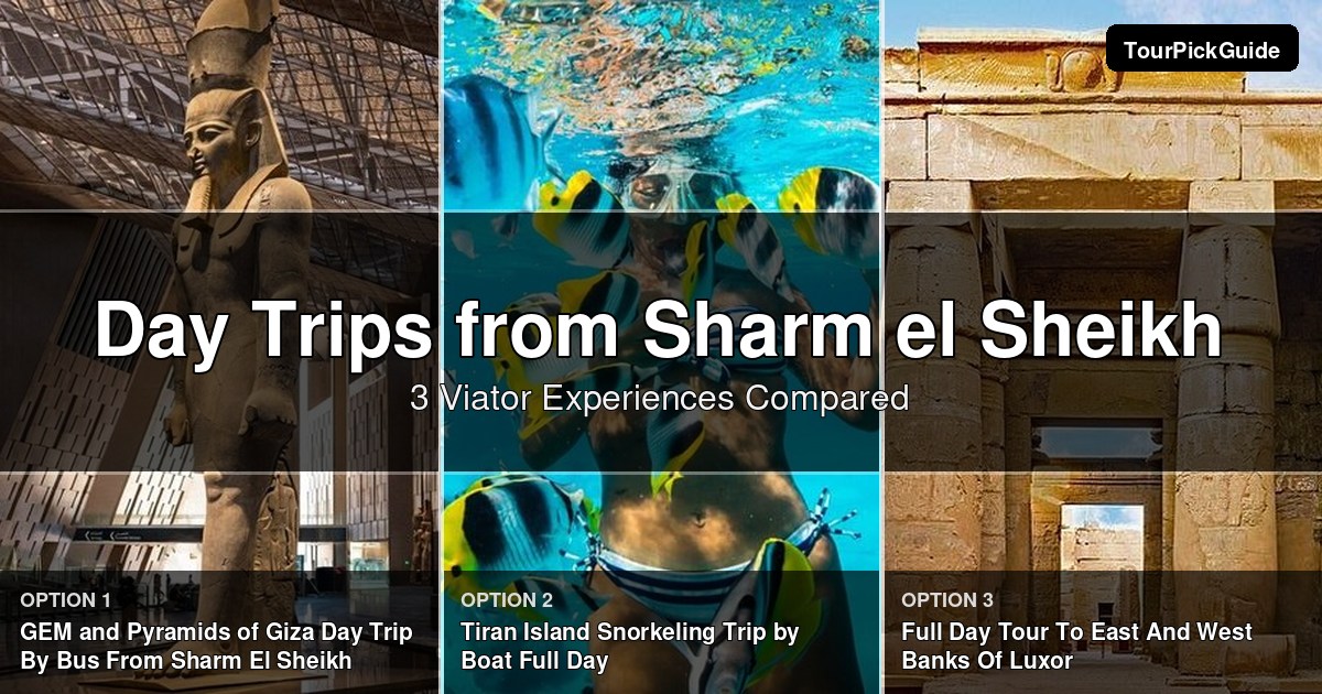 Sharm el Sheikh day trips – three Viator experiences compared
