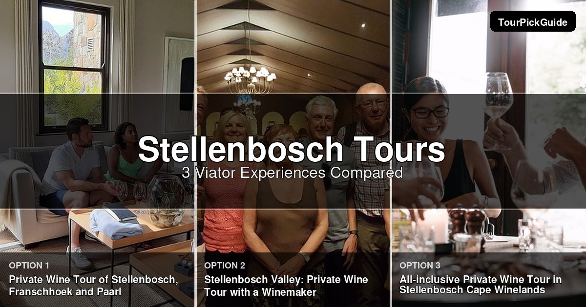 Stellenbosch tours – three Viator experiences compared