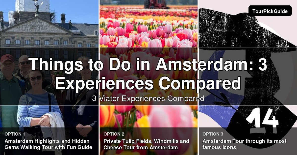 things to do in Amsterdam – three Viator experiences compared