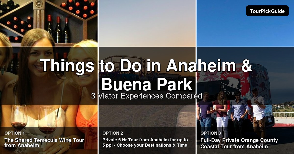 things to do in Anaheim & Buena Park – three Viator experiences compared