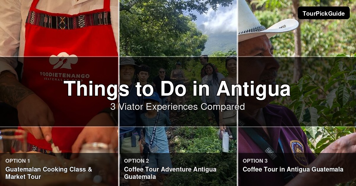 things to do in Antigua – three Viator experiences compared