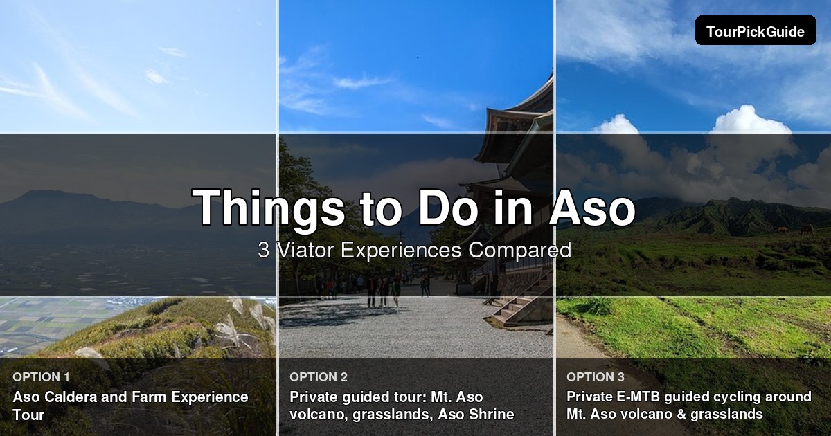 things to do in Aso – three Viator experiences compared