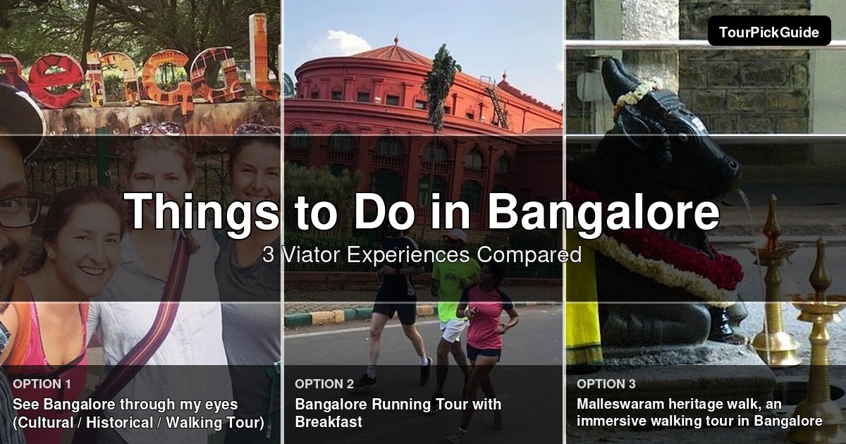 things to do in Bangalore – three Viator experiences compared