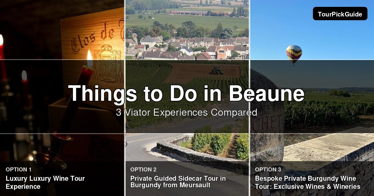 things to do in Beaune – three Viator experiences compared