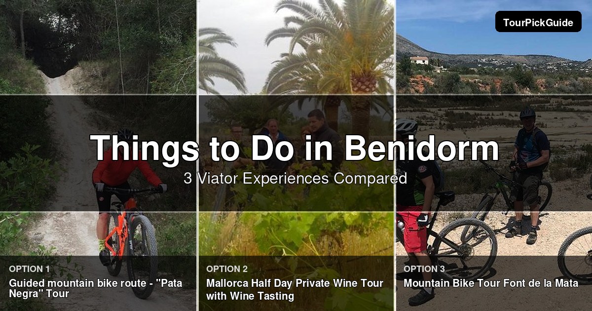 things to do in Benidorm – three Viator experiences compared