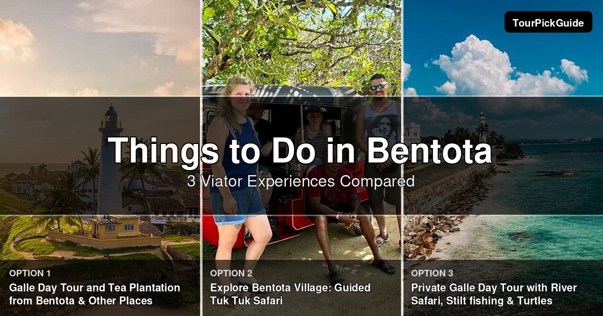 things to do in Bentota – three Viator experiences compared