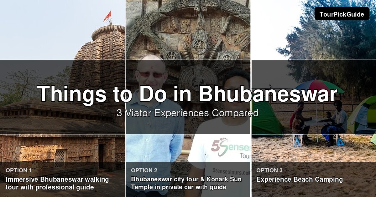 things to do in Bhubaneswar – three Viator experiences compared