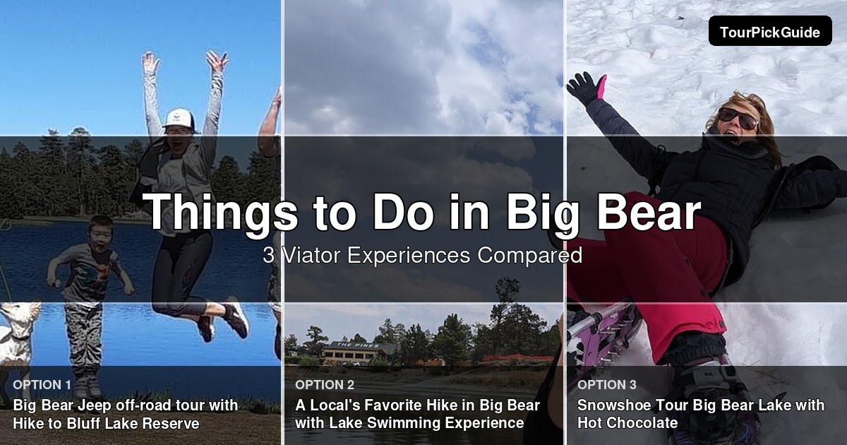 things to do in Big Bear – three Viator experiences compared