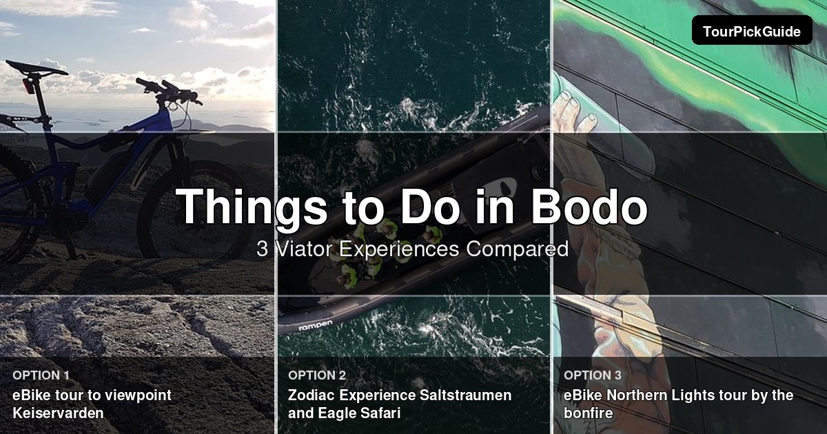 things to do in Bodo – three Viator experiences compared