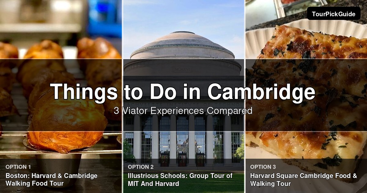things to do in Cambridge – three Viator experiences compared