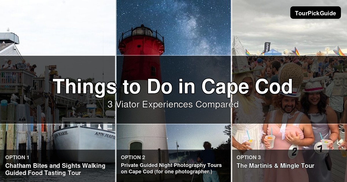 things to do in Cape Cod – three Viator experiences compared