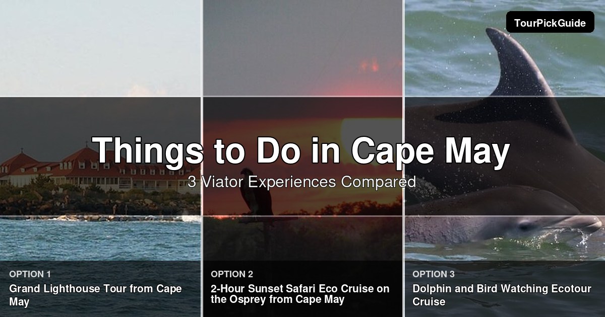 things to do in Cape May – three Viator experiences compared