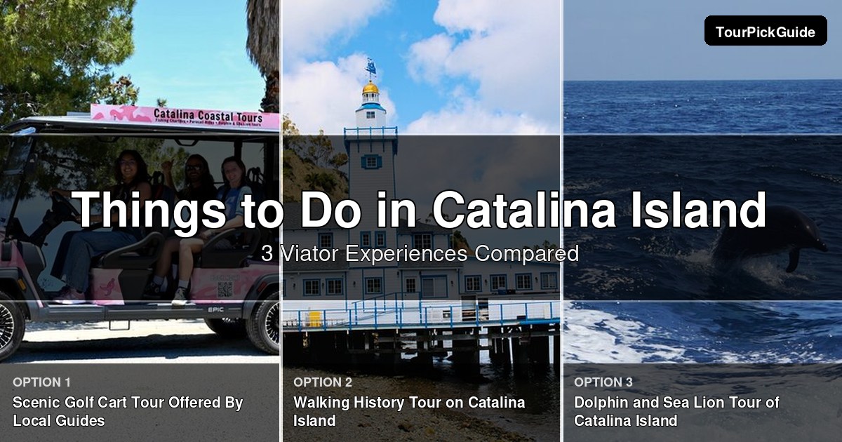 things to do in Catalina Island – three Viator experiences compared