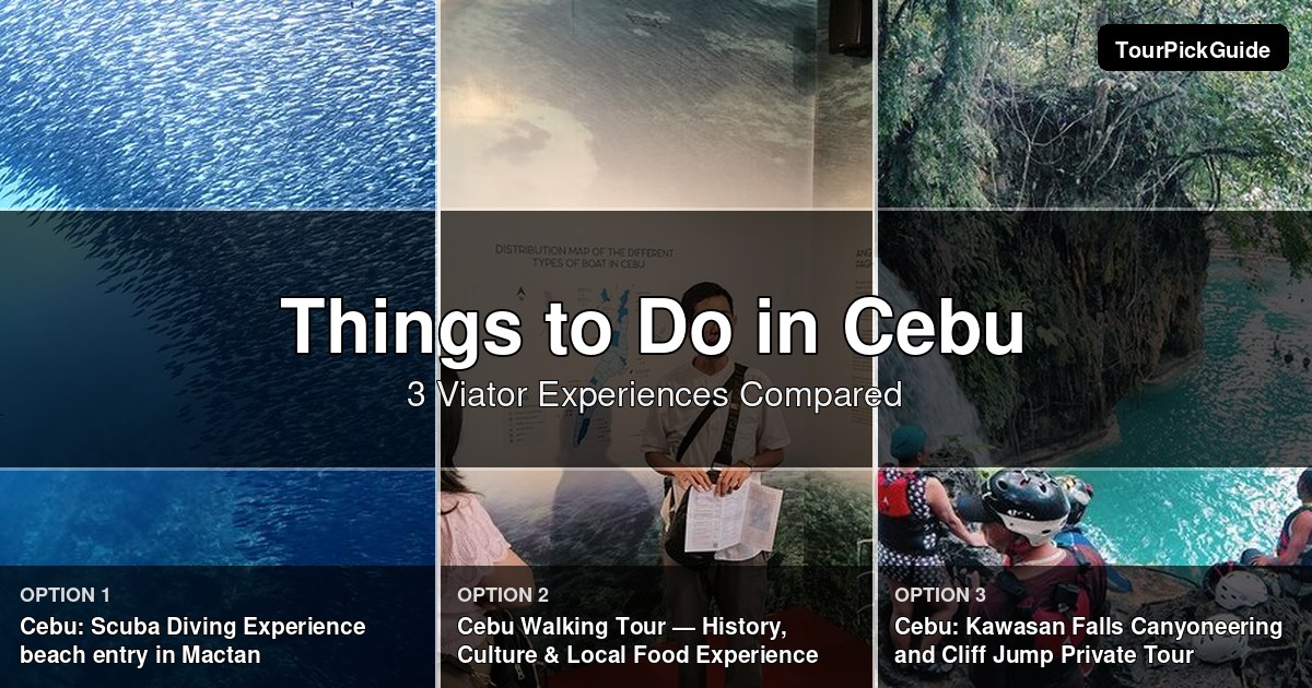 things to do in Cebu – three Viator experiences compared