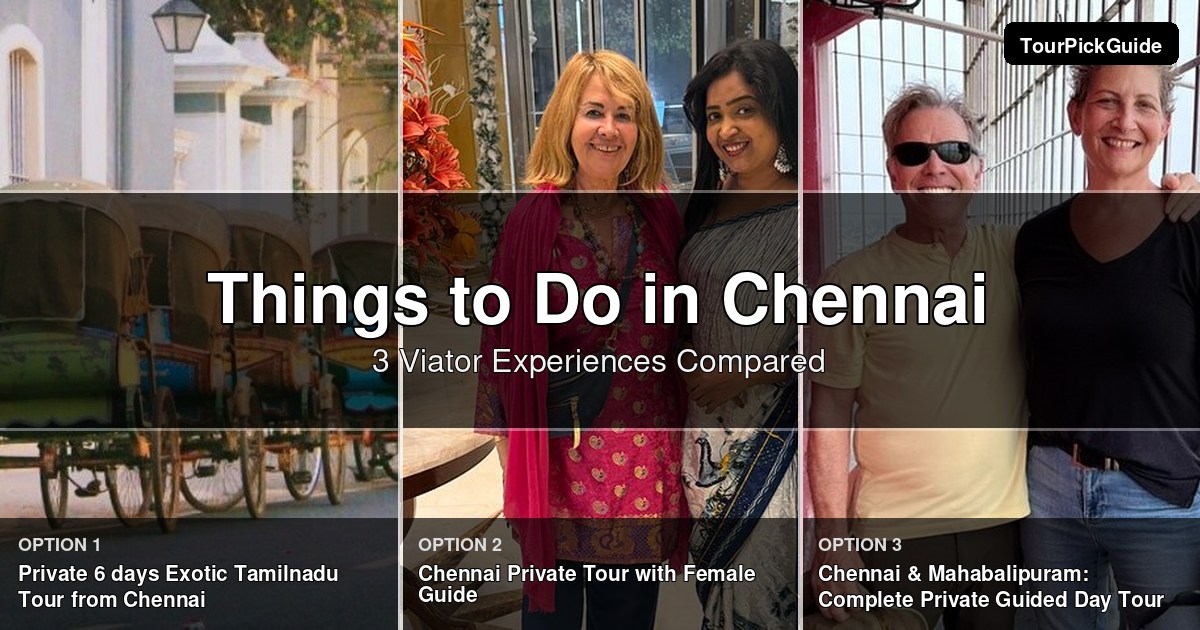 things to do in Chennai – three Viator experiences compared
