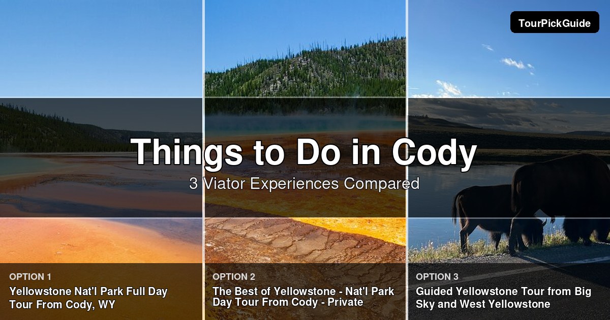 things to do in Cody – three Viator experiences compared