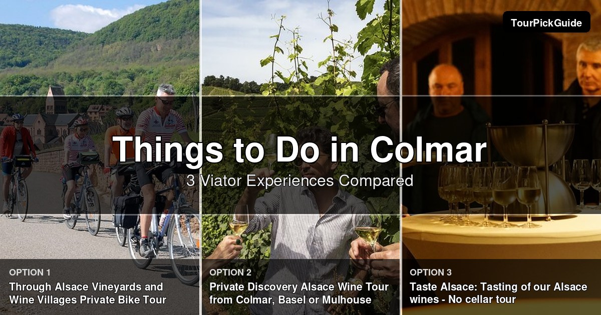 things to do in Colmar – three Viator experiences compared