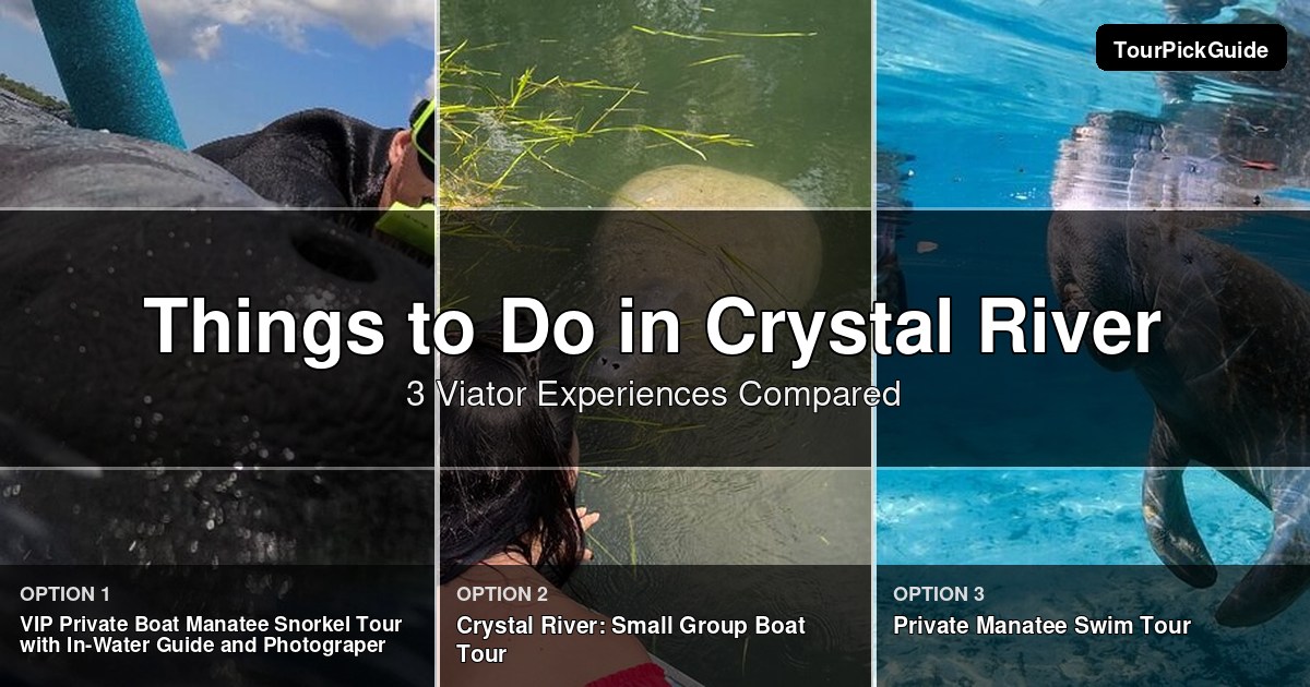 things to do in Crystal River – three Viator experiences compared