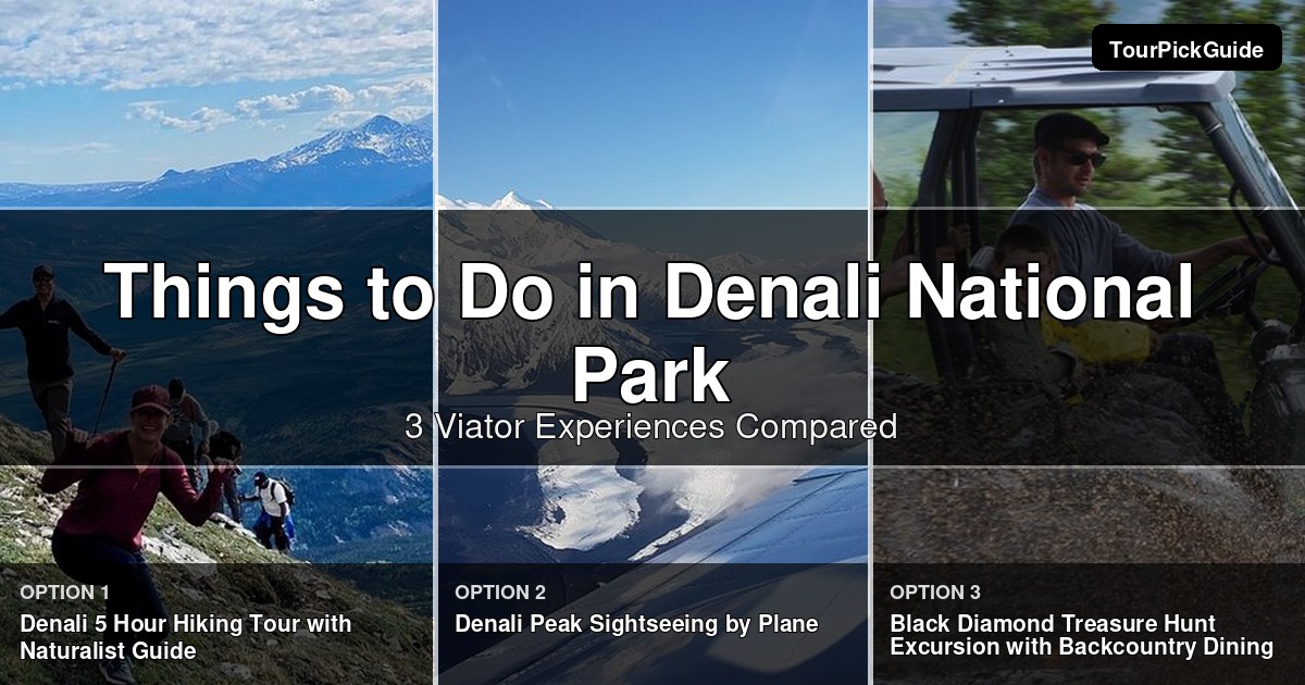 things to do in Denali National Park – three Viator experiences compared