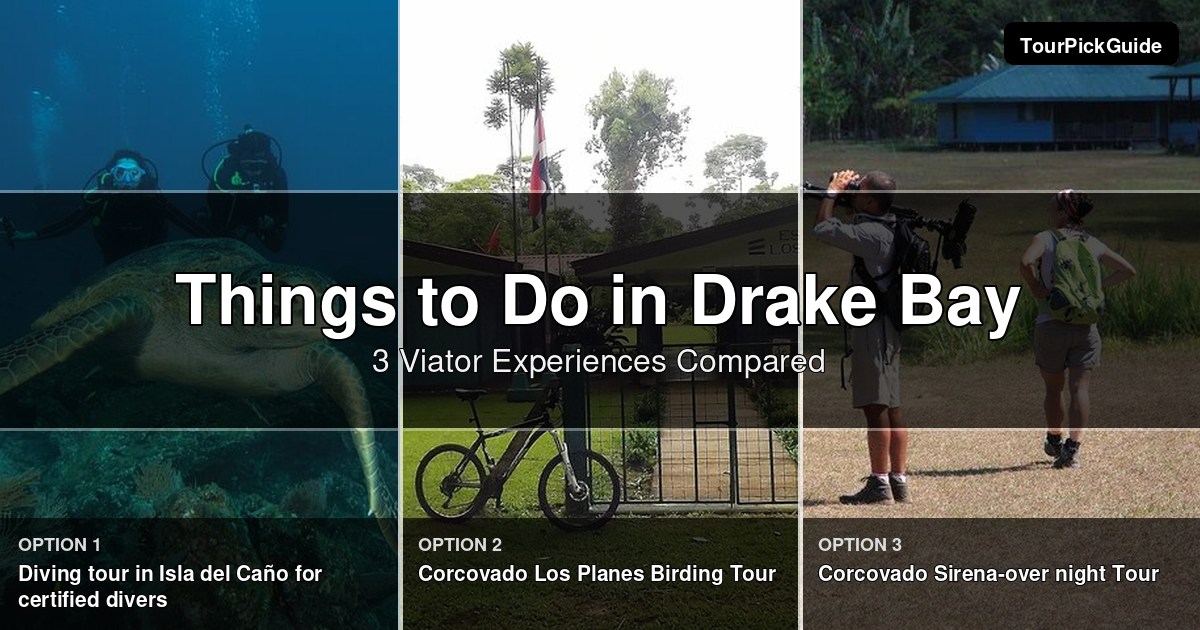things to do in Drake Bay – three Viator experiences compared