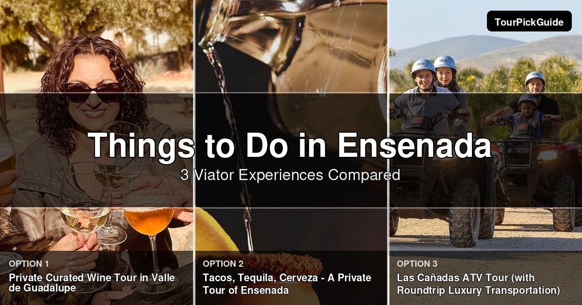 things to do in Ensenada – three Viator experiences compared