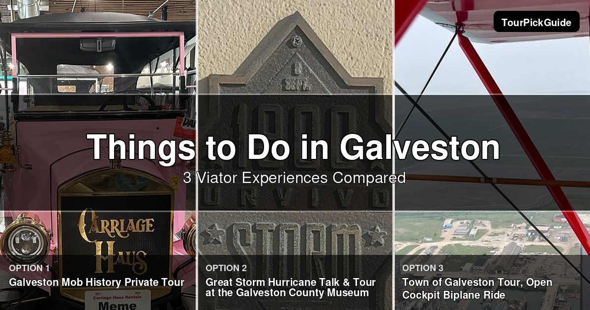 things to do in Galveston – three Viator experiences compared