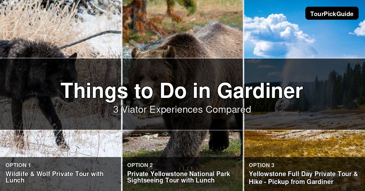 things to do in Gardiner – three Viator experiences compared