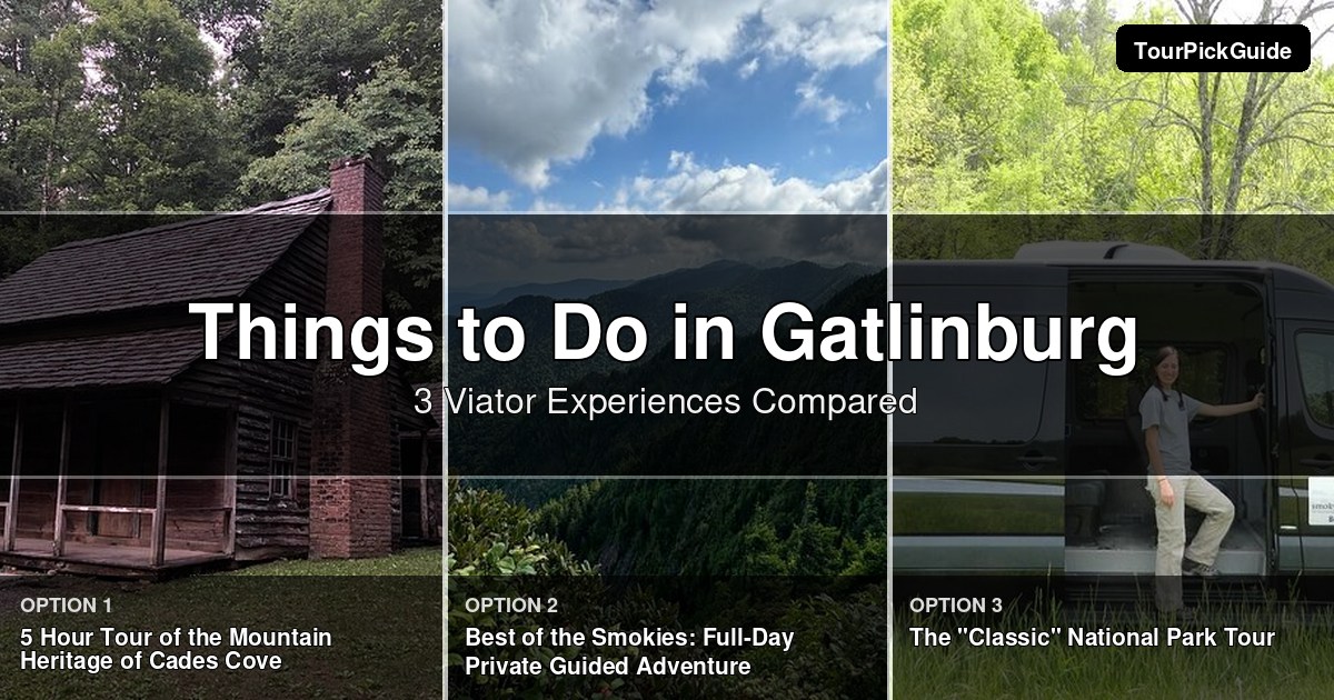 things to do in Gatlinburg – three Viator experiences compared
