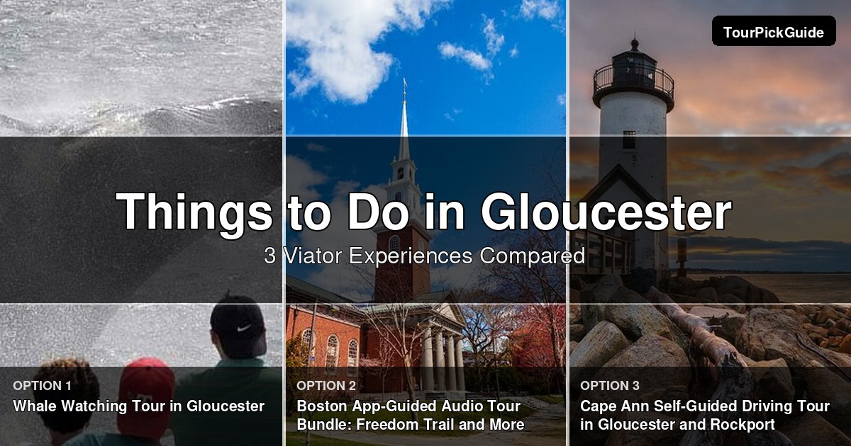 things to do in Gloucester – three Viator experiences compared