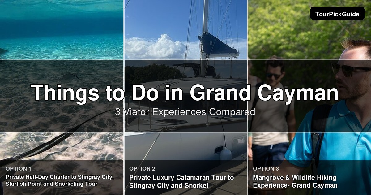 things to do in Grand Cayman – three Viator experiences compared