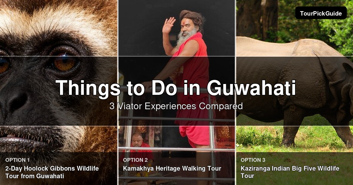 things to do in Guwahati – three Viator experiences compared