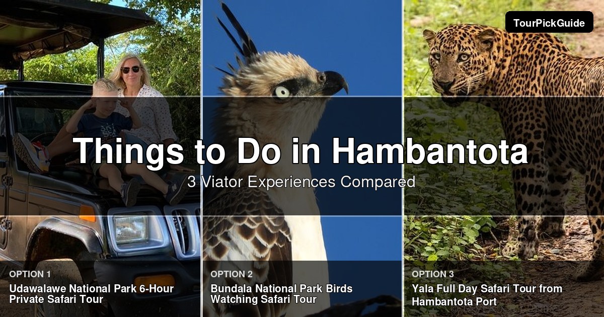 things to do in Hambantota – three Viator experiences compared