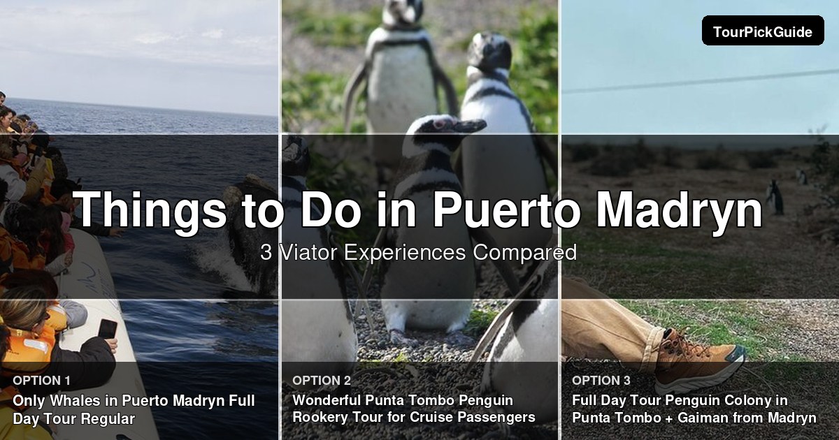 things to do in Puerto Madryn – three Viator experiences compared