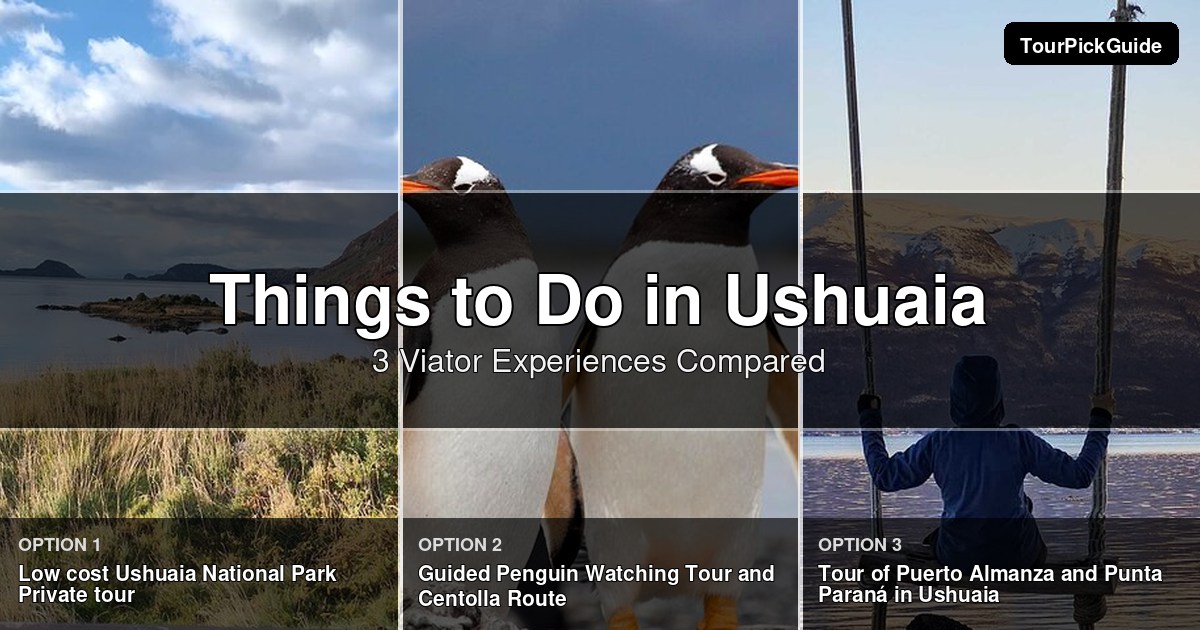 things to do in Ushuaia – three Viator experiences compared
