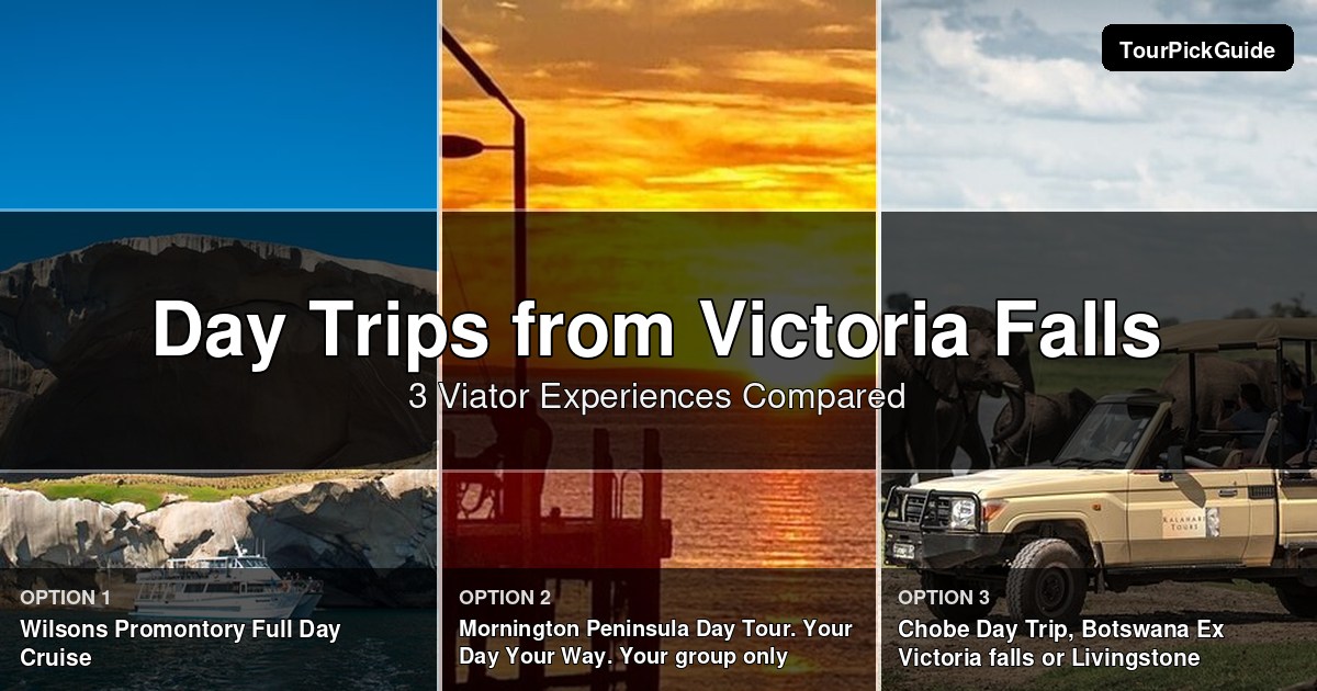 Victoria Falls day trips – three Viator experiences compared