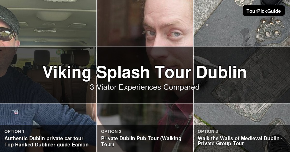 viking splash tour dublin – three Viator experiences compared